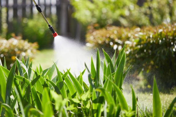 24/7 Emergency Pest Control experts in Huron, SD